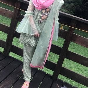 Pakistani net pastel green a ine dress